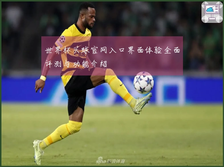 世界杯买球官网入口界面体验全面评测与功能介绍