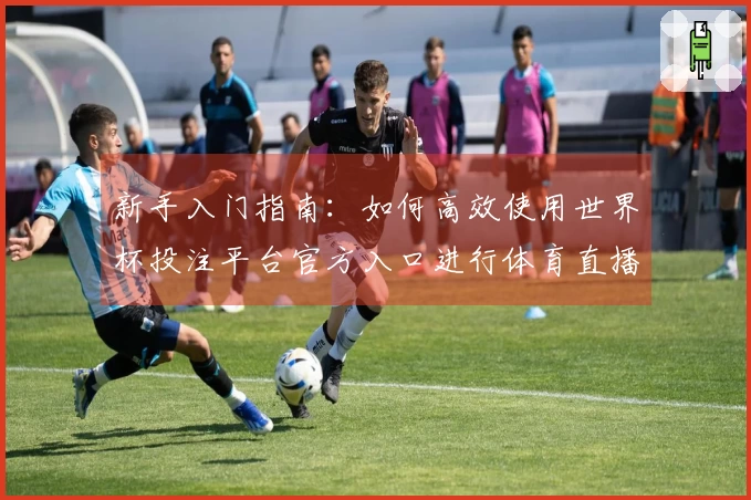 新手入门指南：如何高效使用世界杯投注平台官方入口进行体育直播体验