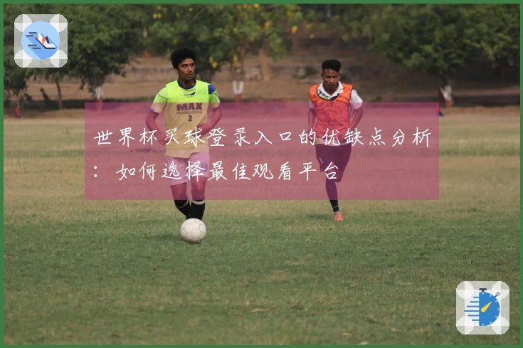 世界杯买球登录入口的优缺点分析：如何选择最佳观看平台
