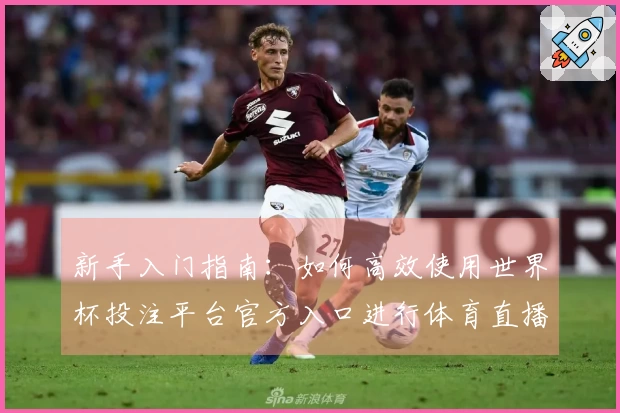 新手入门指南：如何高效使用世界杯投注平台官方入口进行体育直播体验