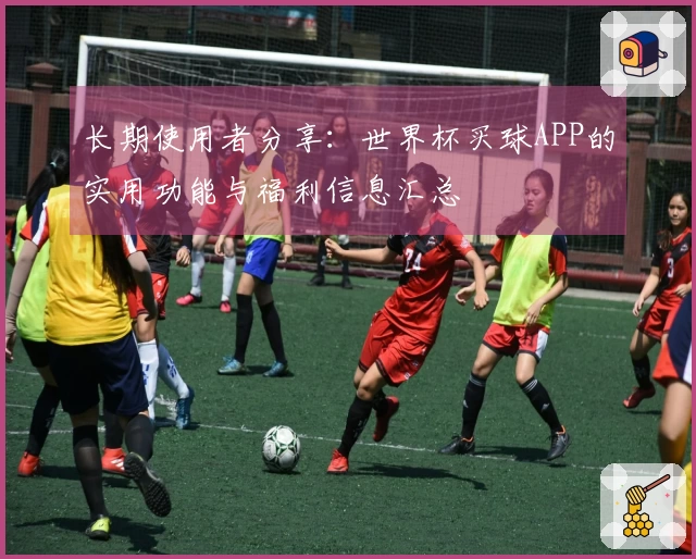 长期使用者分享：世界杯买球APP的实用功能与福利信息汇总